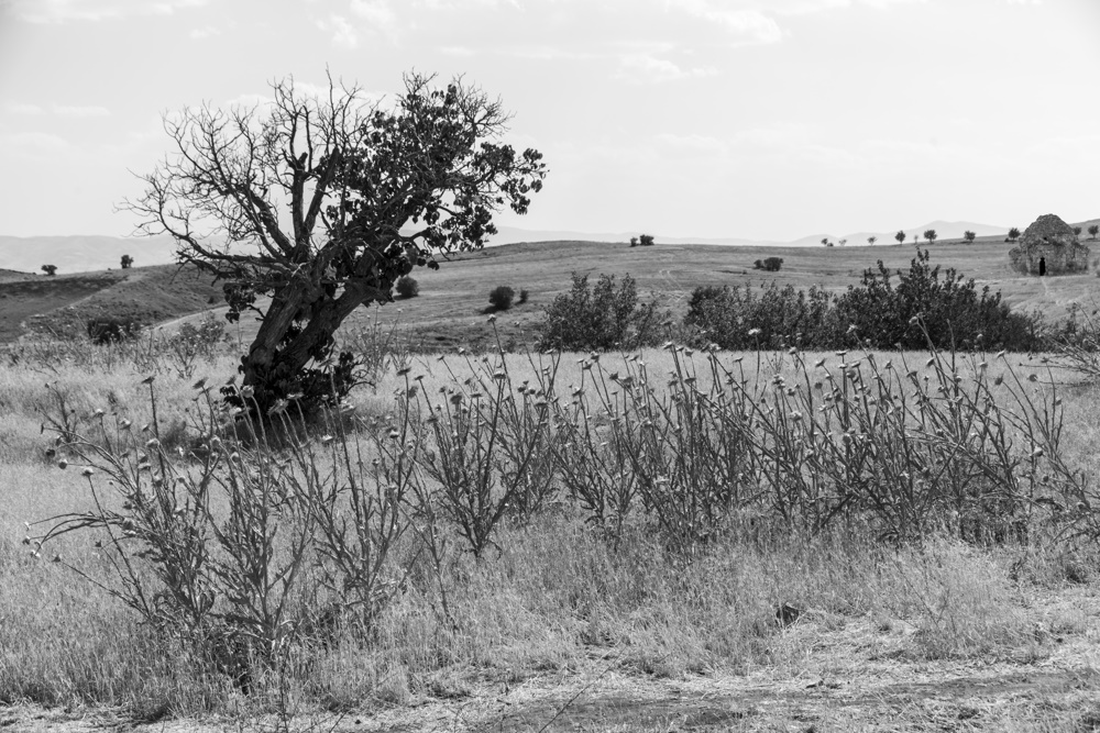 photograph - Forgotten by Time by Kristin Anahit Cass